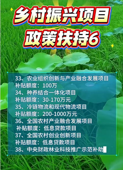 乡村振兴6大扶持赛道｜ ——项目符合申报吗？