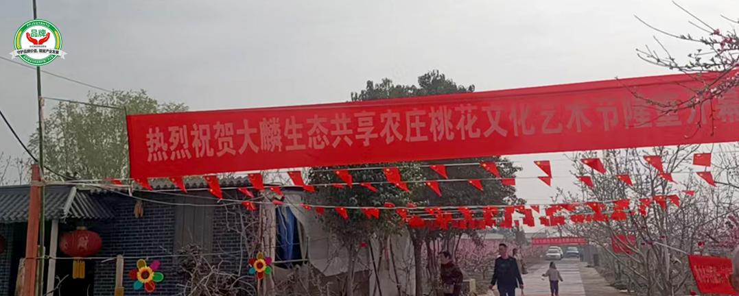 春染王村桃花艳 美食飘香促振兴——荥阳市王村镇第三届桃花节盛大启幕