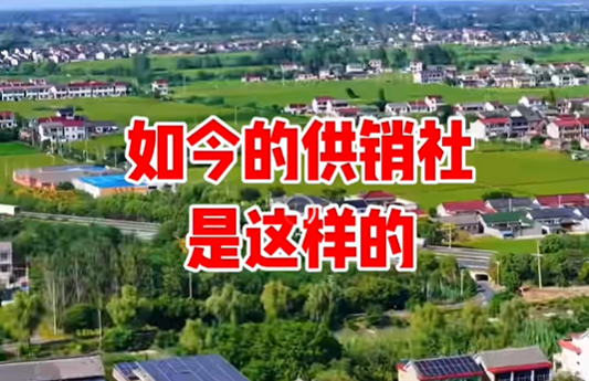 以乡村振兴为纲，解码供销总社的社会责任与未来蓝图