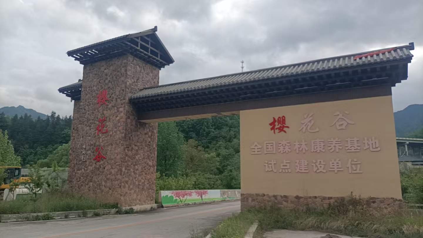 调研组赴湖南娄底大熊山国家森林公园开展市场调研