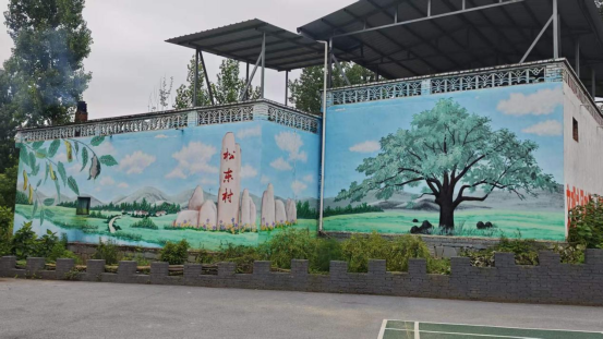 河南南召板山坪镇:环境整治提质增效 和美乡村颜值渐显
